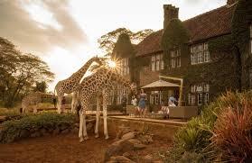 Luxury Christmas Safari Tanzania