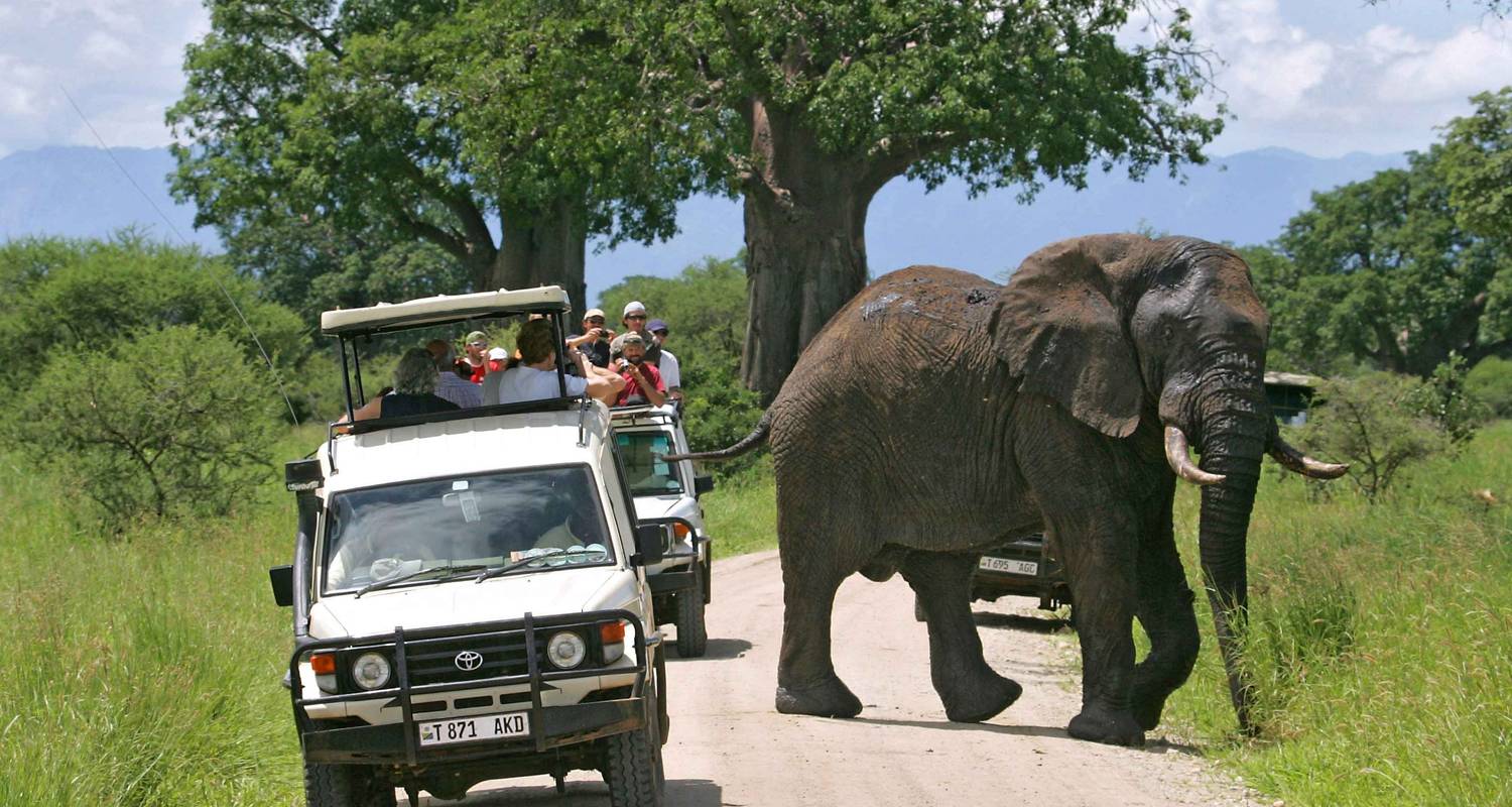 Luxury Tanzania Safari Vehicle