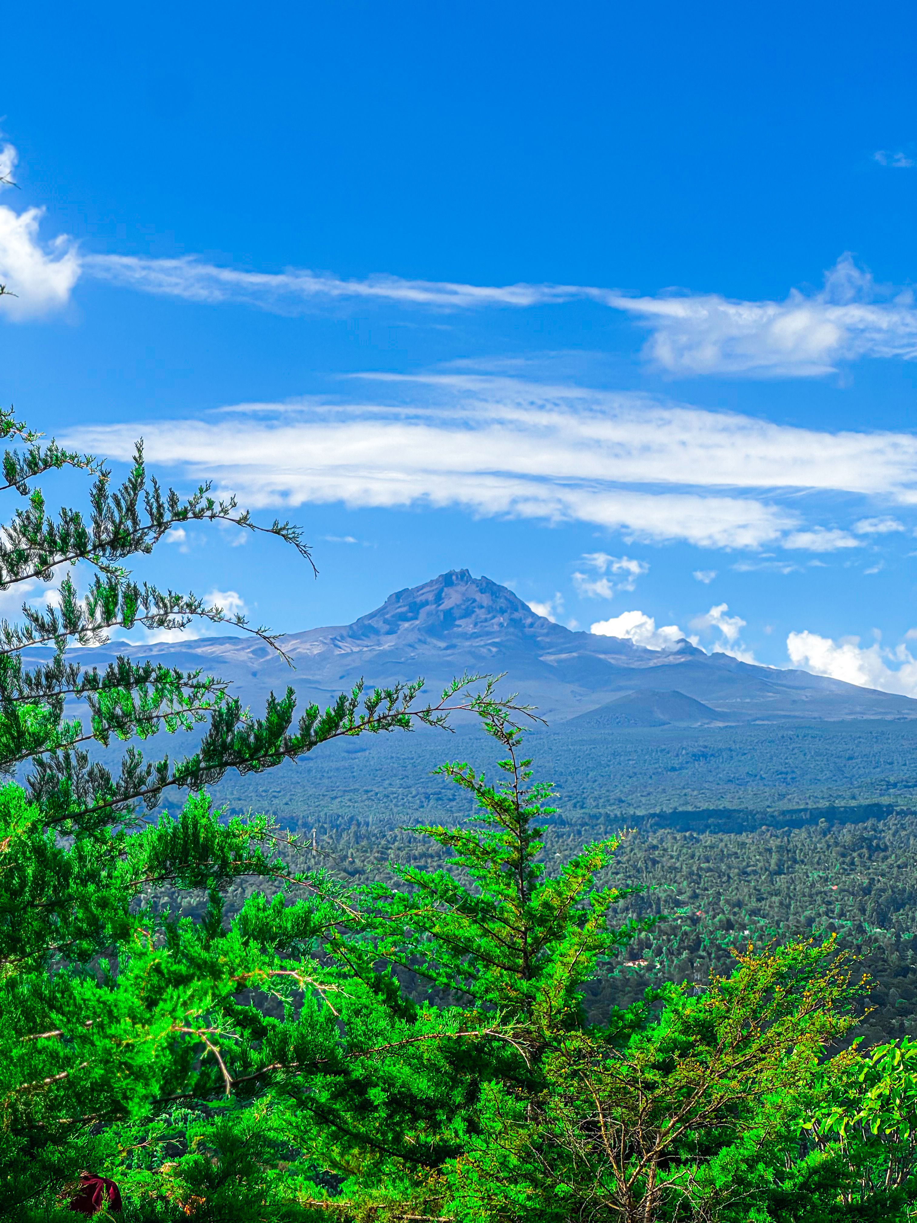 8 days Lemosho Route Kilimanjaro trekking package in Tanzania