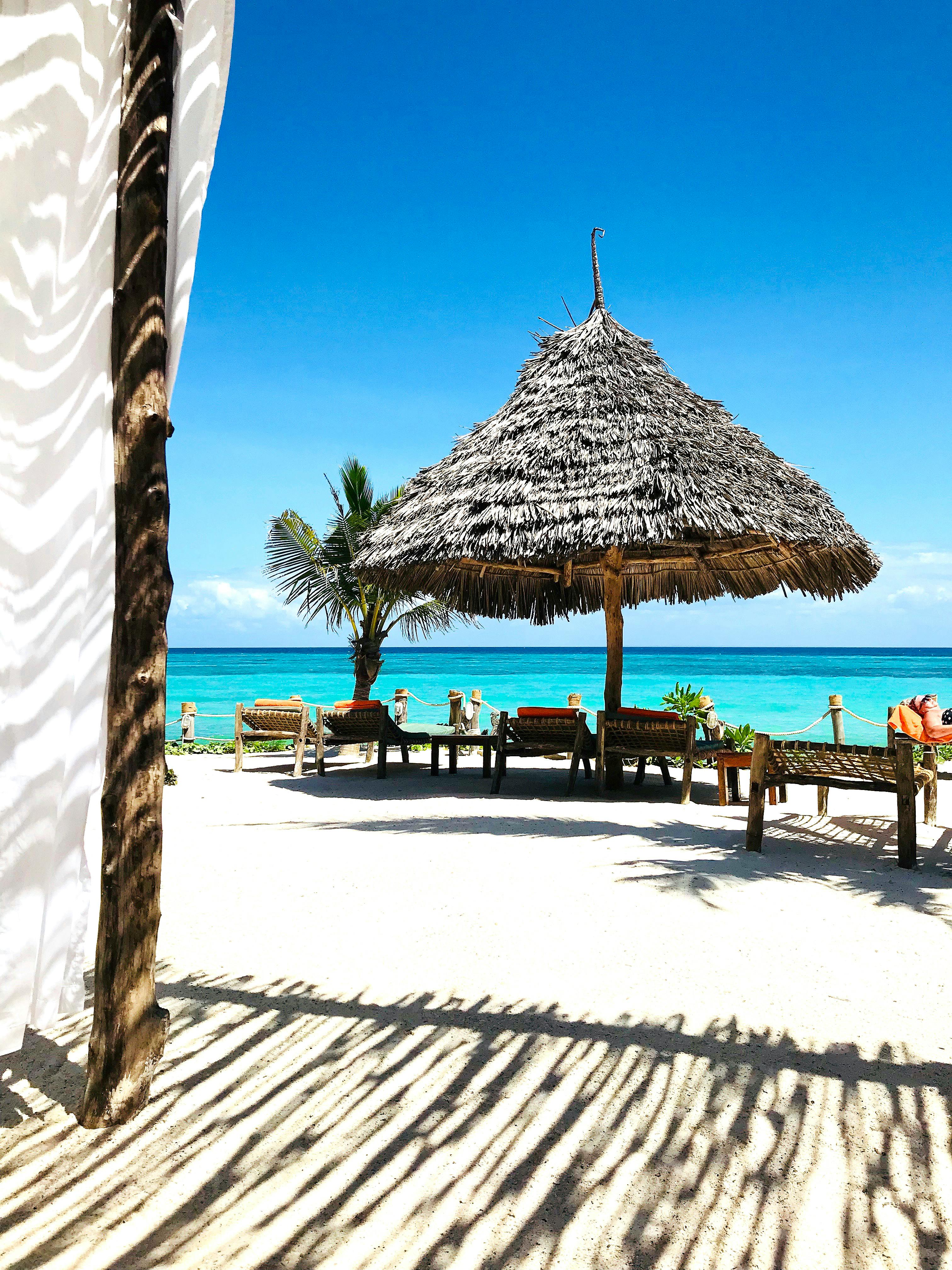 Serengeti safari and Zanzibar beach holiday package