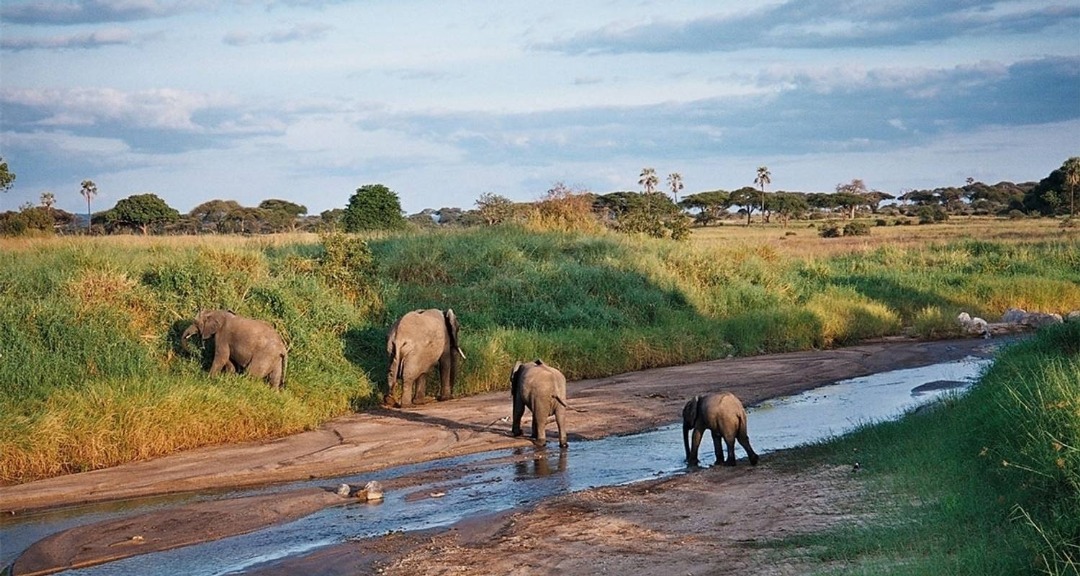 4 Days Northern Bliss Luxury Safari