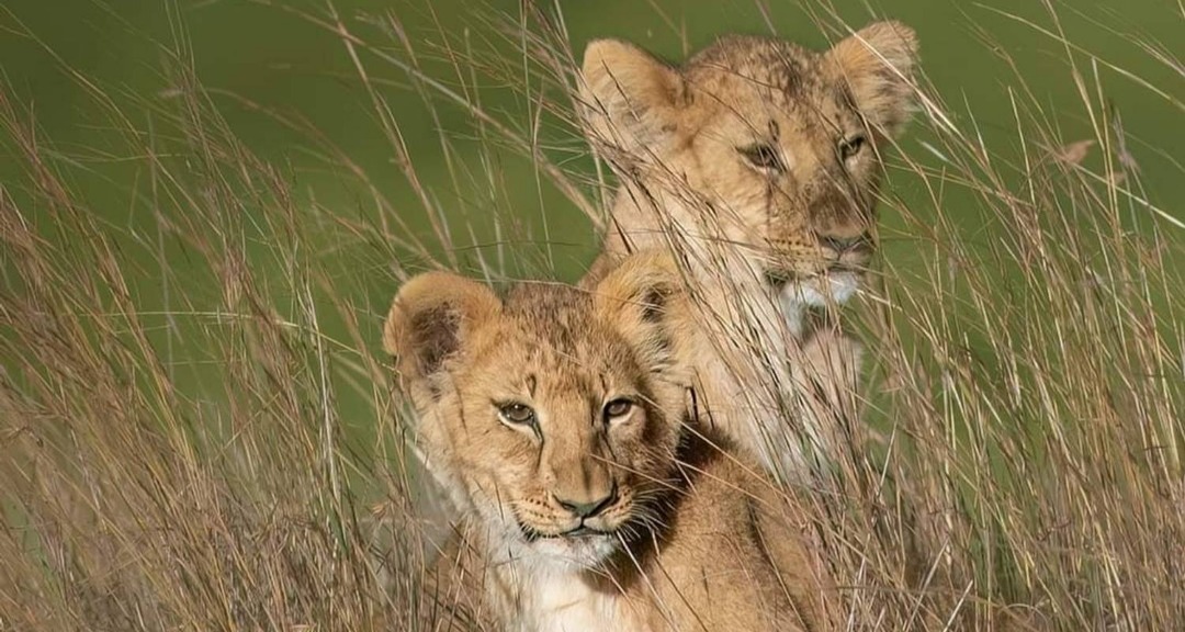 Arusha National Park