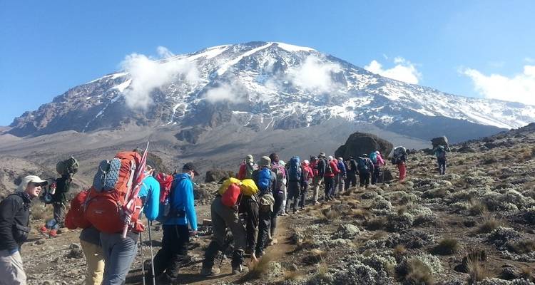 8 Days Kilimanjaro Lemosho Route - Africantrust Safari