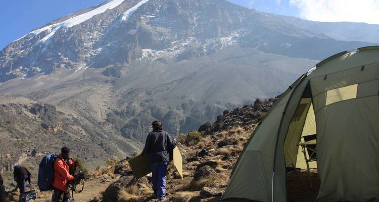 Climb Kilimanjaro 8 Day Northern Circuit