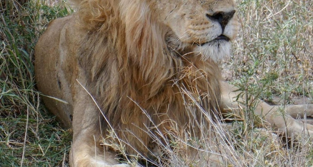 Serengeti National Park