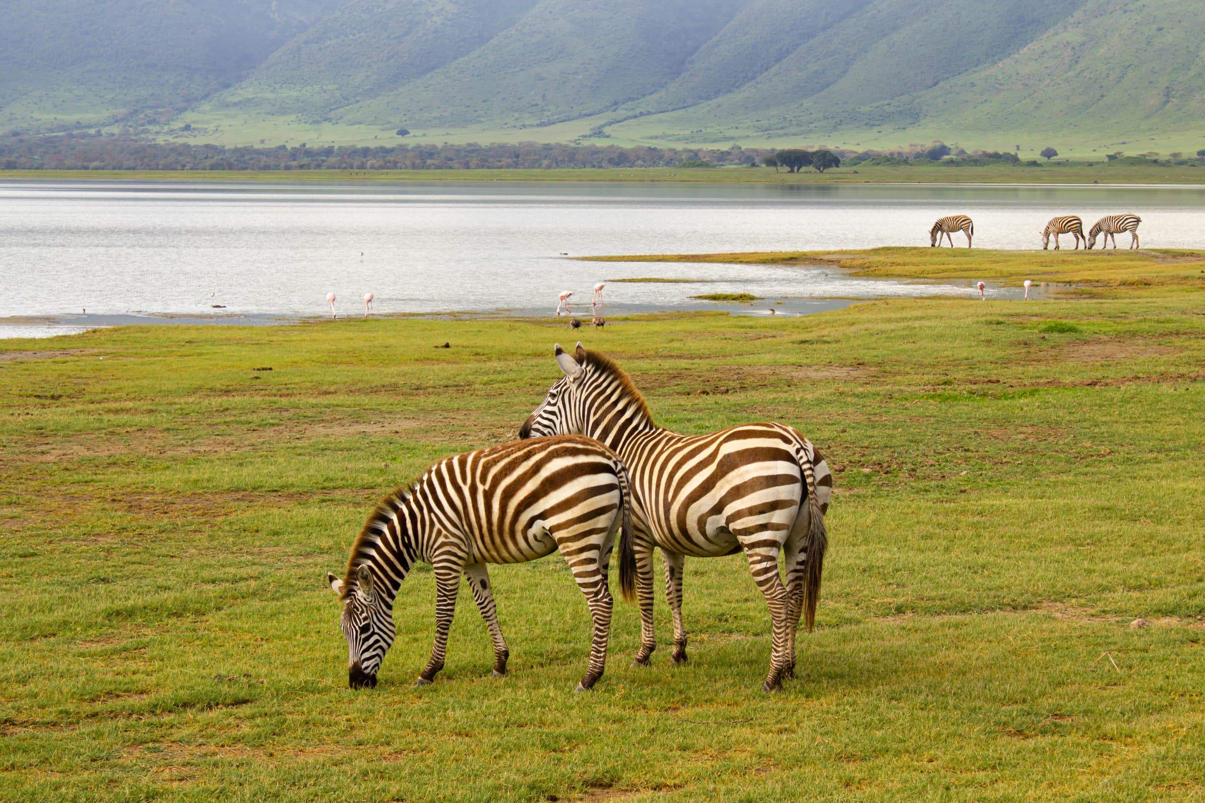 5-Day Safari