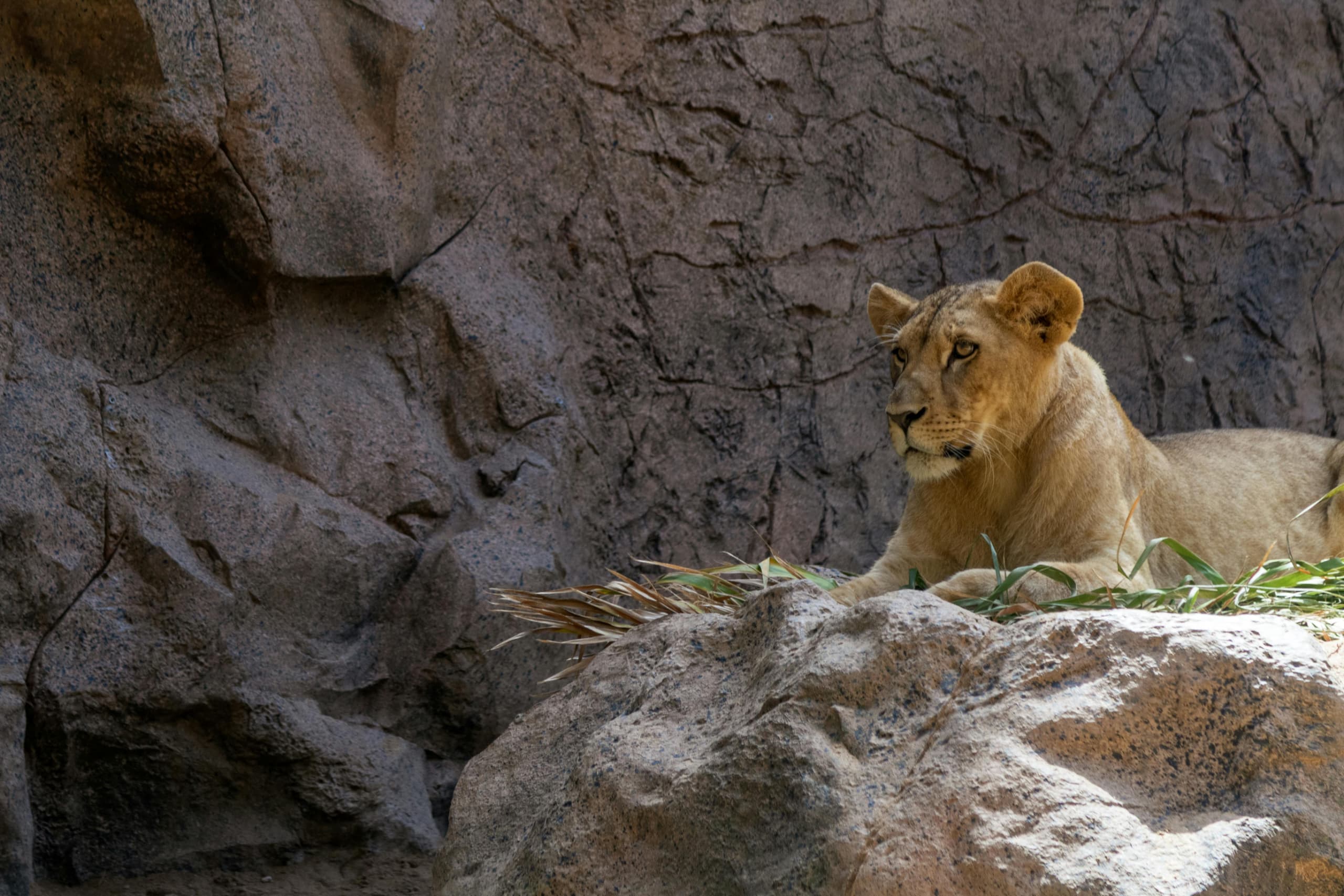 Midrange lodge view near Ngorongoro Crater