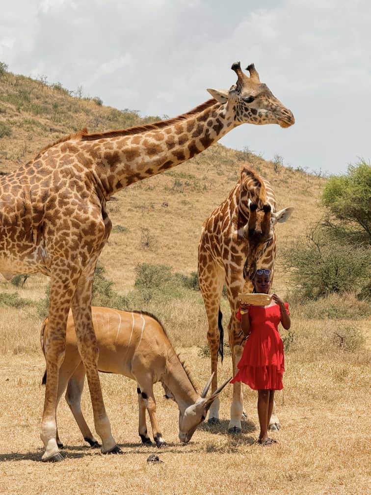 Lake Manyara family safari