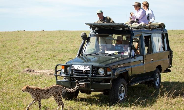 Ngorongoro Crater Rim Panorama