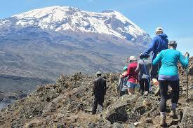 Climbing Kilimanjaro: Routes, Costs, Safety & Success Rates (2026 Guide) gallery image