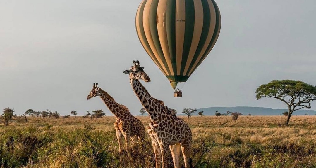 Ngorongoro Crater Safari