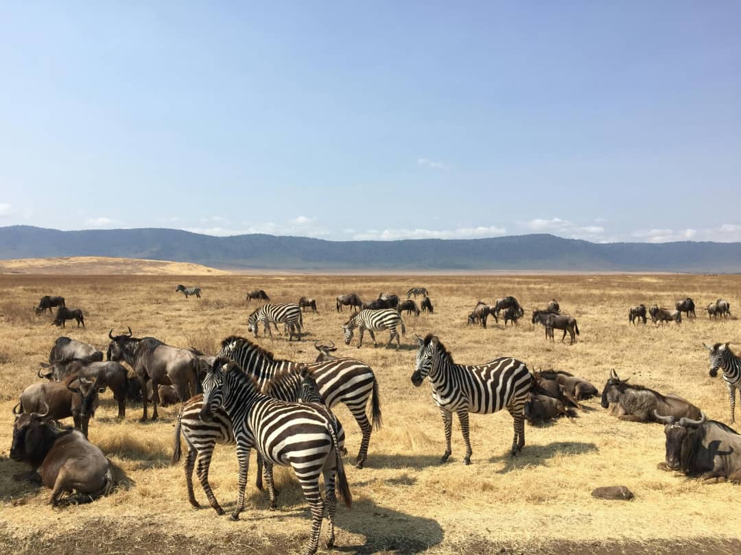Serengeti National Park