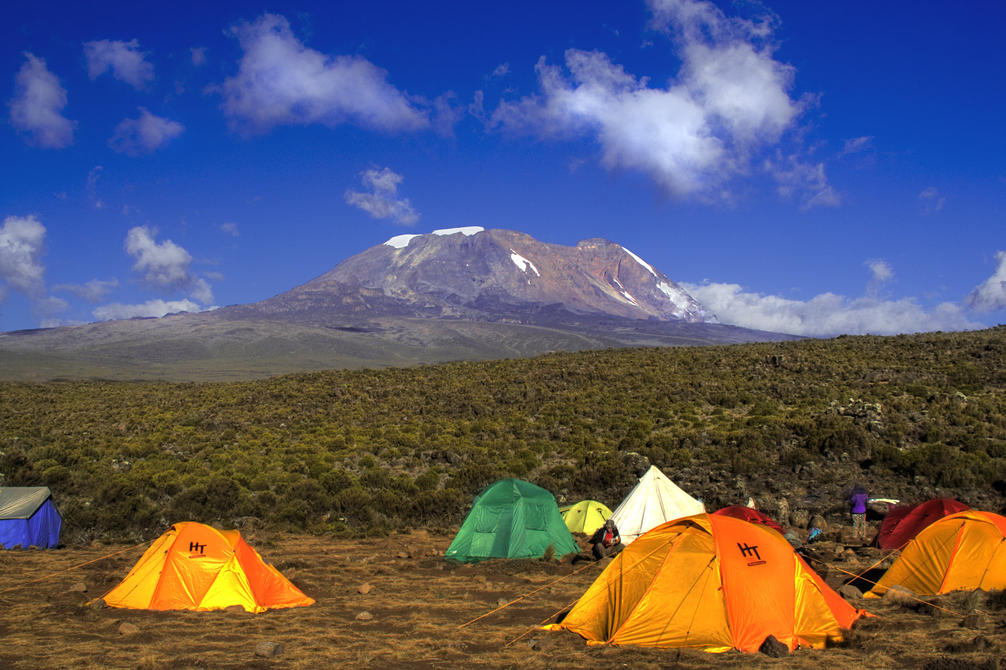 Shira 1 Camp Lemosho Route Kilimanjaro
