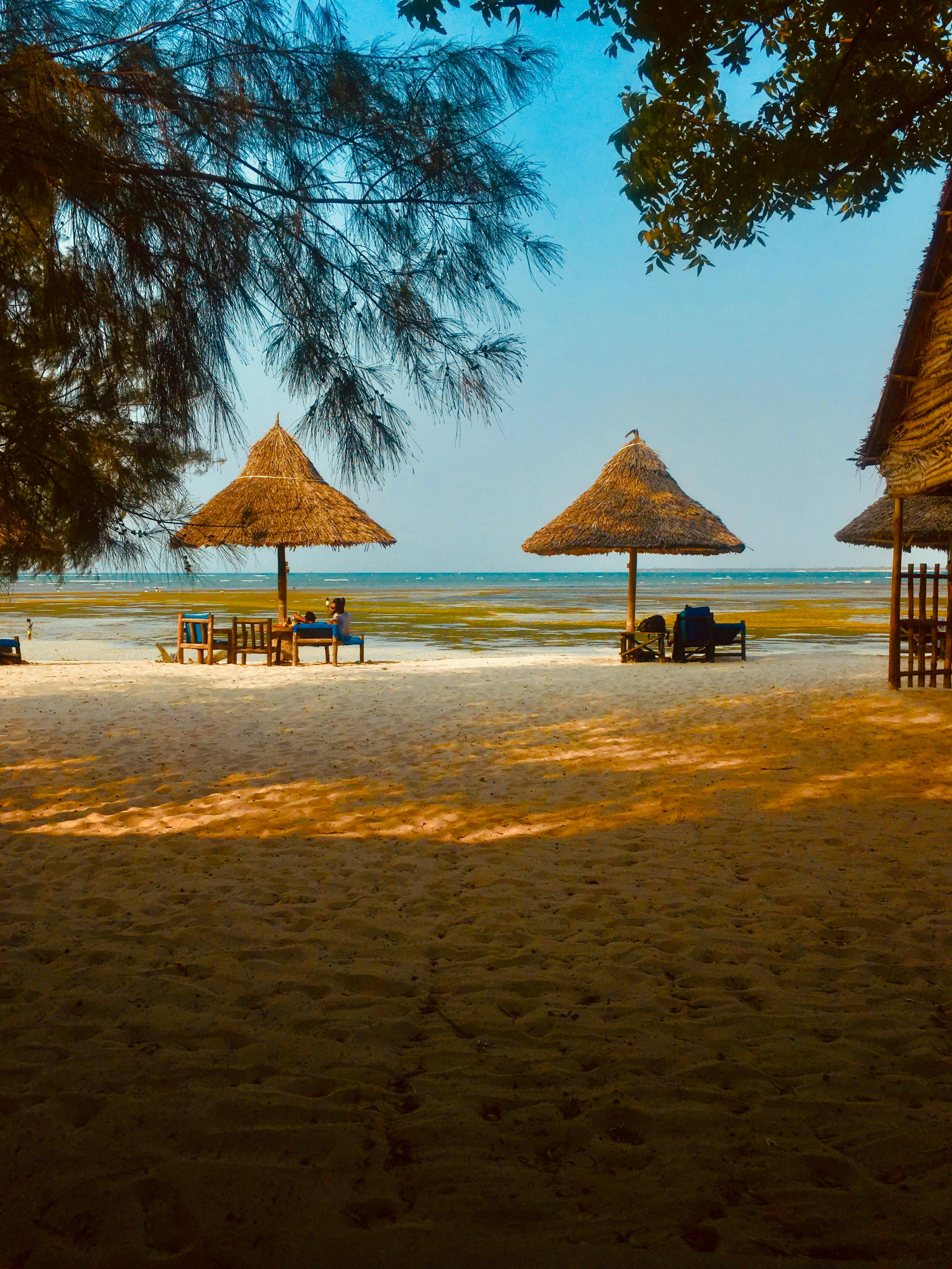 Stone Town and Zanzibar spice tour package