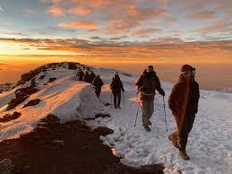 Climbing Kilimanjaro: Routes, Costs, Safety & Success Rates (2026 Guide) gallery image