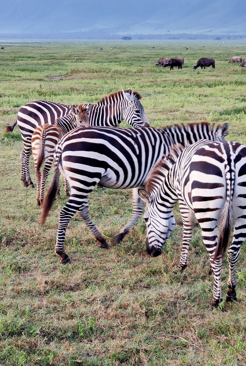 Lake Manyara National Park
