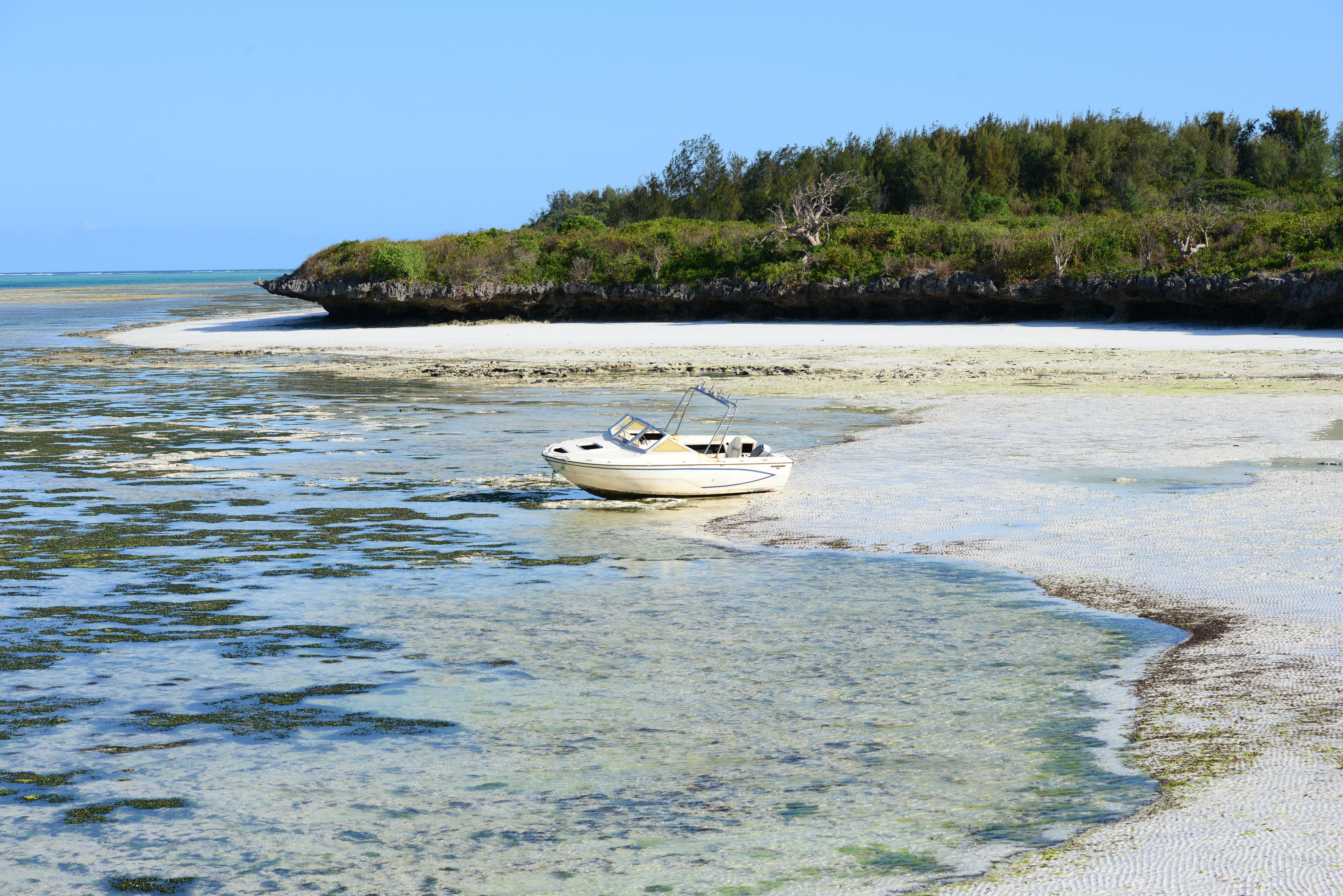 5 Days Spice Tour, Jozani Forest & Beach Stay