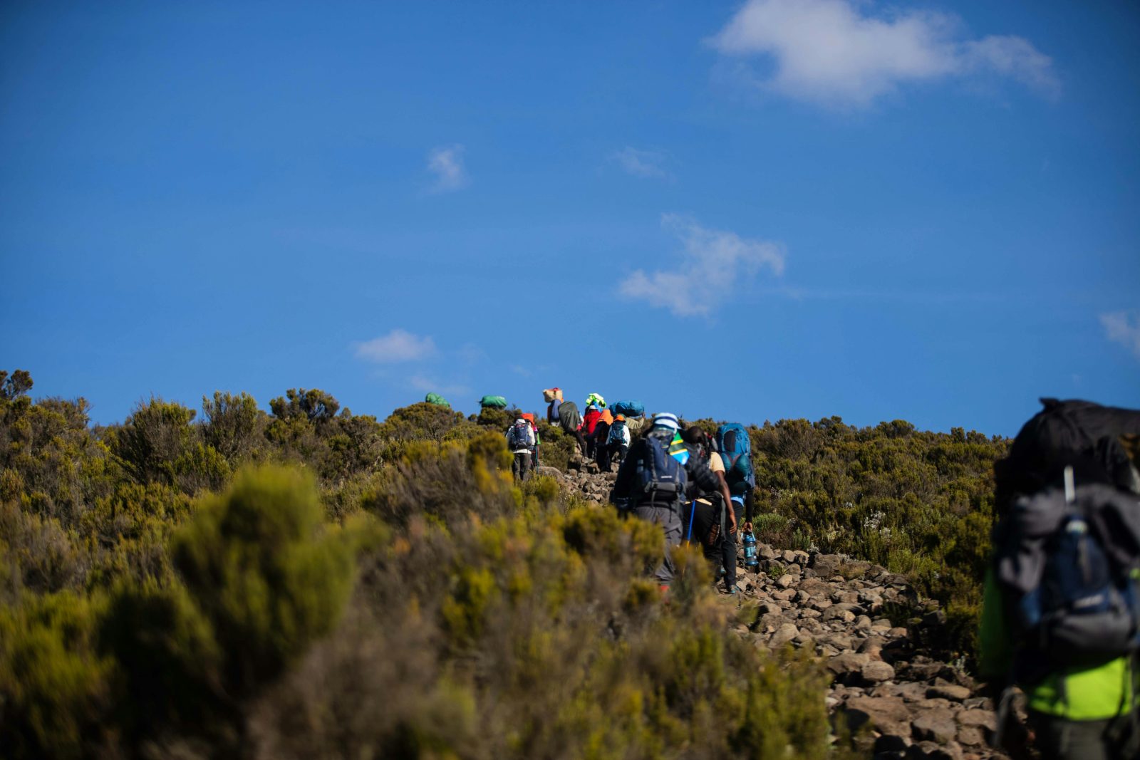 Kilimanjaro Climb Packages - Private & Small Group Treks gallery image