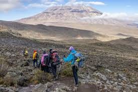 From Kilimanjaro Airport (JRO) in Tanzania: 7 Days Group Mid-Range Kilimanjaro Climb via Lemosho Route gallery image