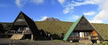 From Kilimanjaro Airport (JRO) in Tanzania: 7 Days Group Mid-Range Kilimanjaro Climb via Lemosho Route gallery image
