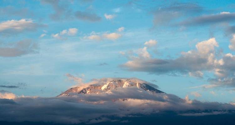15-Day Luxury Gorilla Trekking, Tanzania Safari & Kilimanjaro Climbing Adventure gallery image