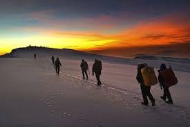 Climbing Kilimanjaro: Routes, Costs, Safety & Success Rates (2026 Guide)