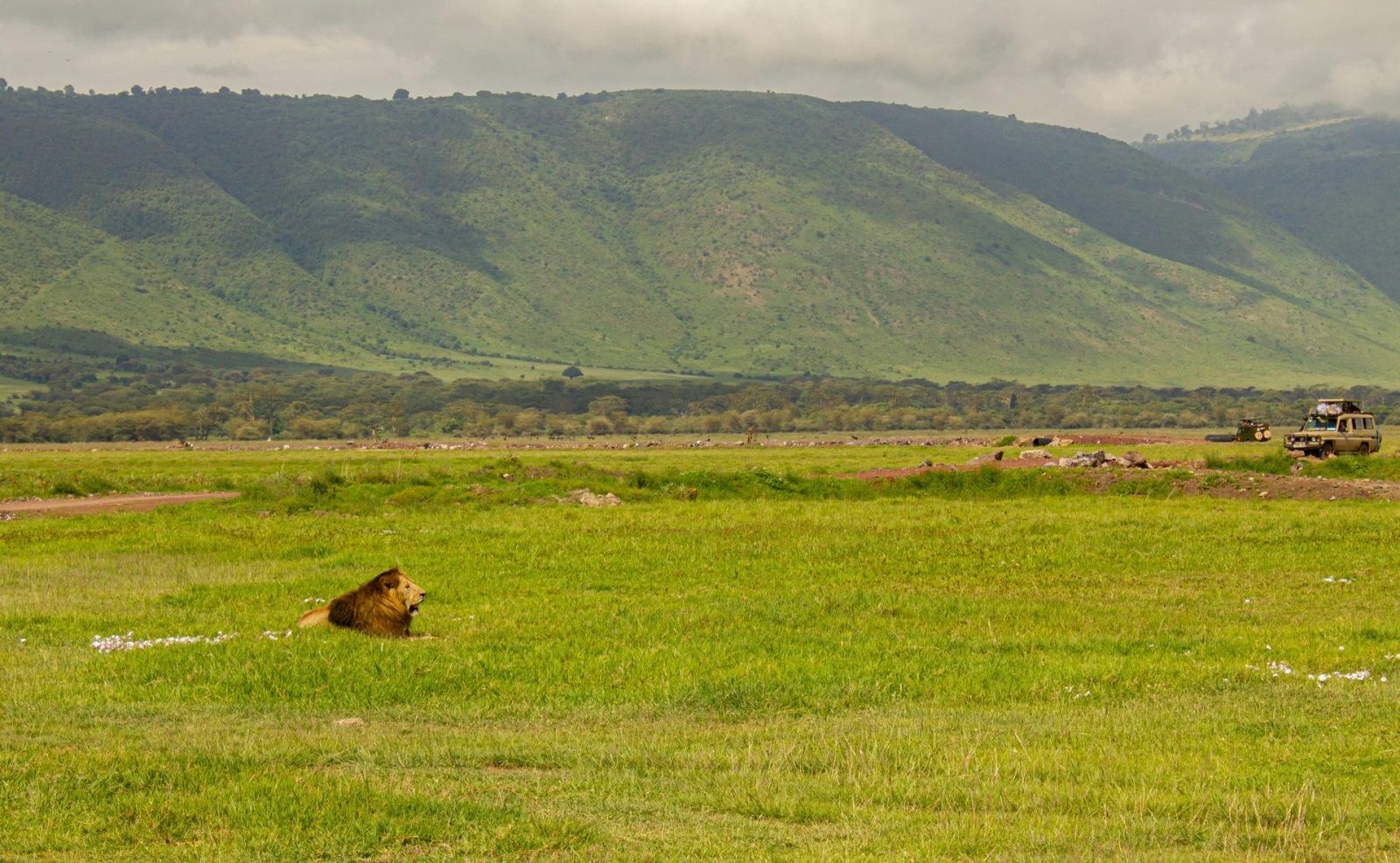 10 Days Big Five Tanzania Safari | Ultimate Wildlife Adventure gallery image